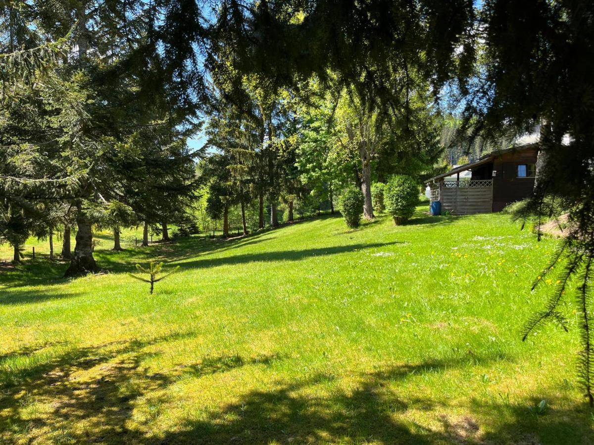 Schwarzwald - Villa Appartments Titisee Exterior photo
